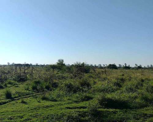 62ha Mixto - Felicia, Santa FE