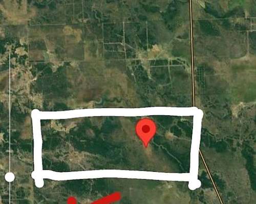 Campo Ganadero 1470 Has Pcia de la Plaza Chaco