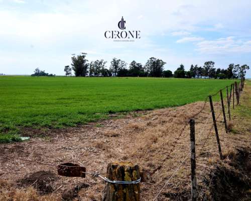 Venta - Campo - 12 Hectareas - Mechongue