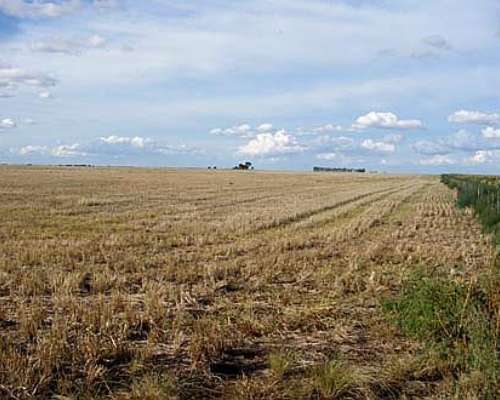 450 Ha en Gral Alvear S/ Ruta, Casa, Mejoras