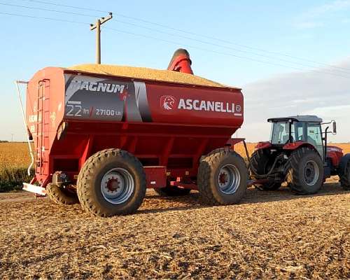 Tolva Autodescargable Ascanelli 22 Toneladas