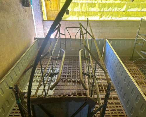 Vendo 12 Parideras Completas