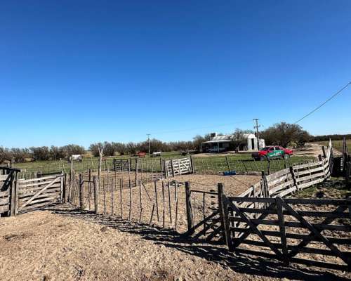 302 Has. Bahia Blanca con Arroyo