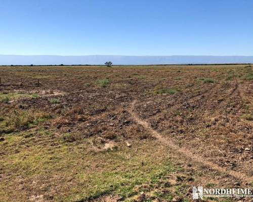 Concaran, Chacabuco, San Luis, Argentina