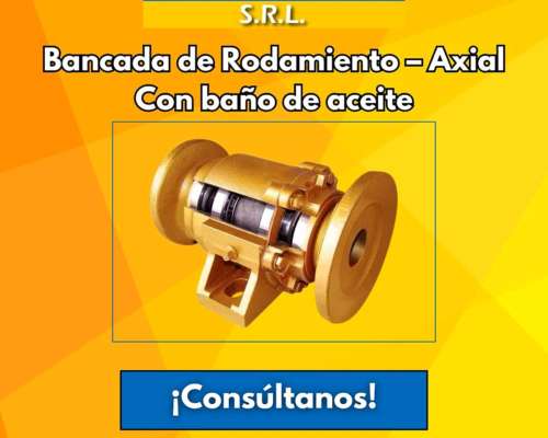Bancada de Rodamiento – Radial con Baño de Aceite
