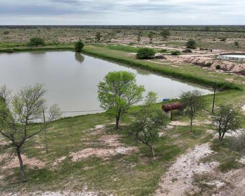 Clodomira, Banda, Santiago del Estero - 4.330 Ha