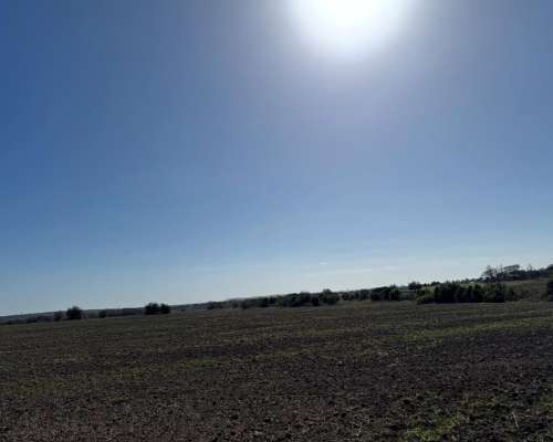 10 Has - Zona Acceso Norte - Paraná - Colonia Avellaneda