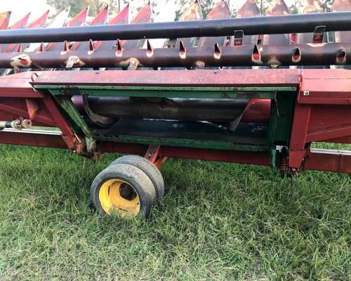 Se Vende Girazolero 10 a 52cm