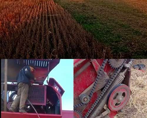 Servicios para el Campo