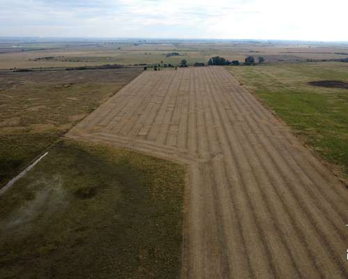 Campo Agrícola de 31,1 Ha en la Pelada, Santa FE