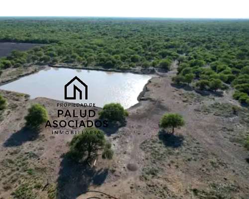 Vendo Campo 23 Has Vera Santa FE Sobre Ruta 3 (toba)