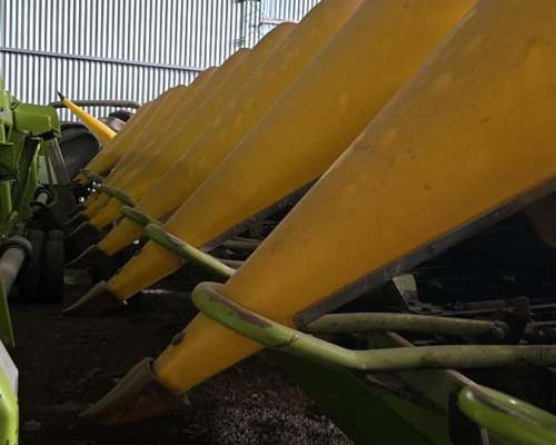 Maicero Allochis de 12 a 70 cm