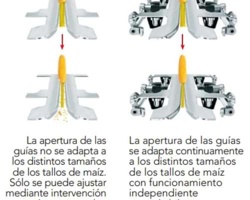 Maicero Dragogt 16 a 52 Lider Mundial en Cosecha de Maiz