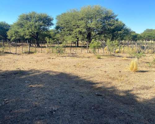 Juan Jorba Alquiler 176 Has