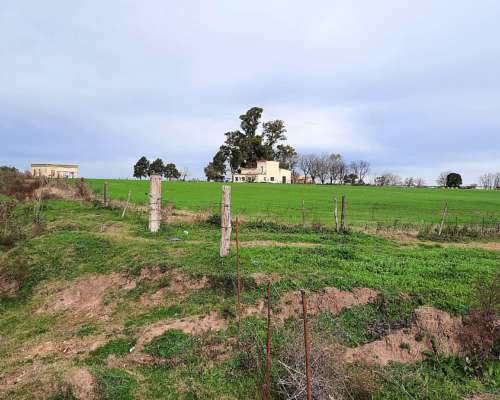 Campo Agrícola de 24,5 Hectáreas con Mejoras en San Nicolas