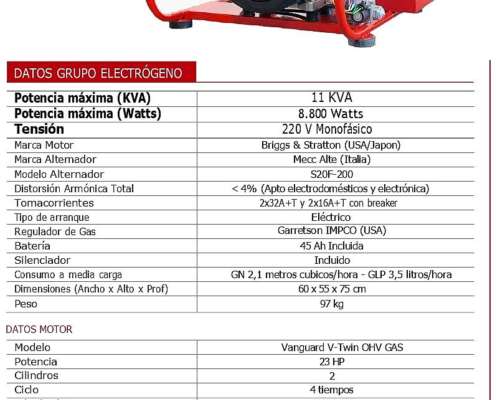 Grupo Electrogeno a GAS Briggsystratton 11kva Monofasico