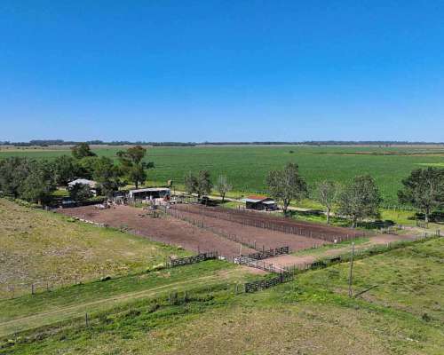 Pcia. de Santa FE - Perez 265 Has