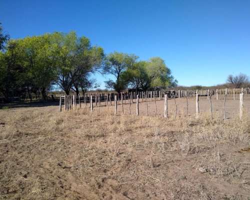 Campo Ganadero 820 Hectareas. Ubicado en Navia, San Luis
