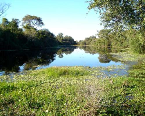 Chaco Castelli 750 Has Ganaderas Dolar Oficial