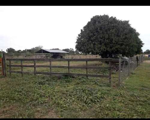 Venta de Campos en Formosa