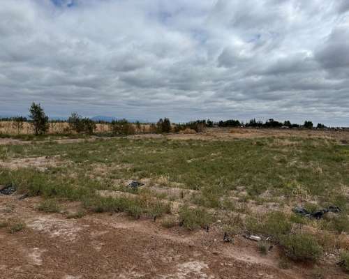 Finca en Venta 57 Hectáreas - Rpn° 24- la Pega Mendoza