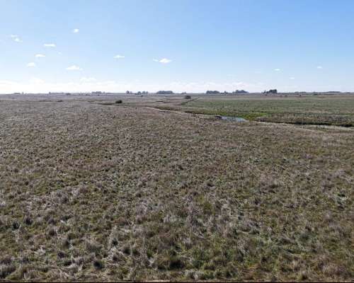 Vieytes (BS As): 200 Ha en Alquiler