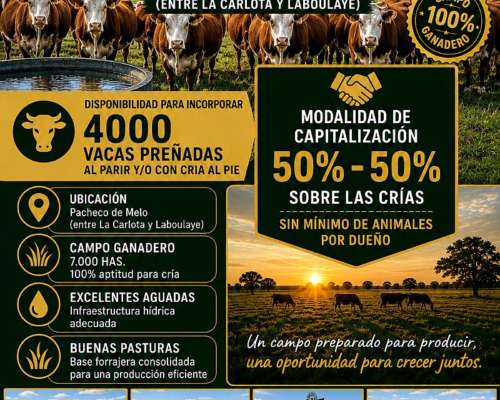 Capitalización 4000 Vacas Campo Disponible