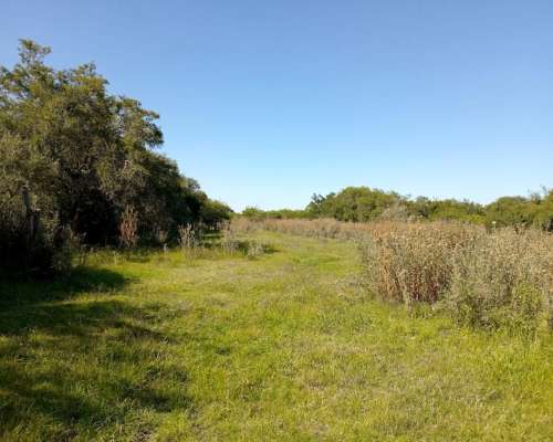 Campo Ganadero 140 HA. María Grande. Solo Interesados