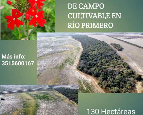 Hectáreas Cultivables en Río Primero