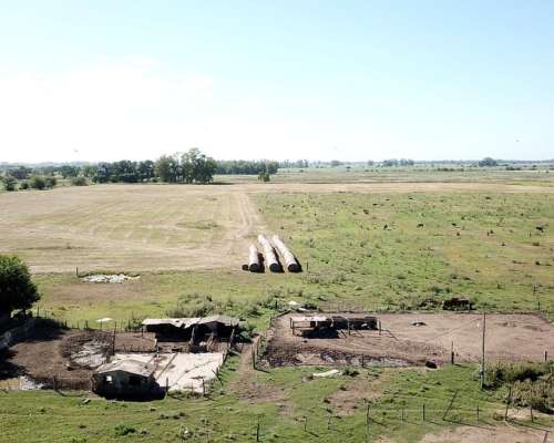 44 Has. Campo Agrícolo Ganadero en General Rodriguez