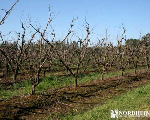 Zarate , G.b.a. Zona Norte, Argentina