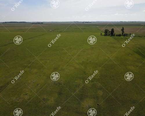 Campo en Venta de 200 Has en Chascomus