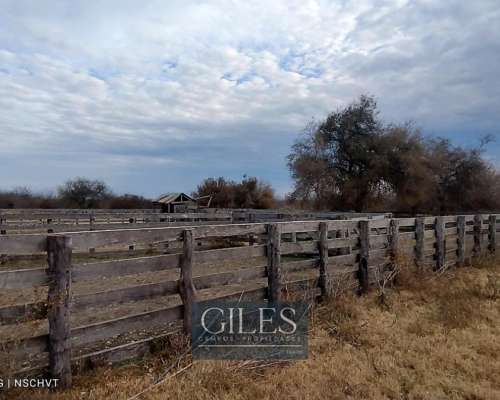 Campo Mixto 720 Hectáreas