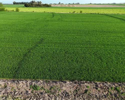 340 Ha Agricolas Capitan Sarmiento