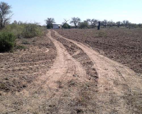 Oferta Campo con Casa