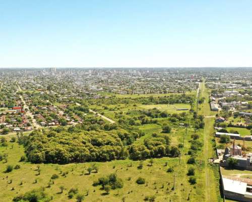 Río Cuarto, Córdoba - 25 Ha