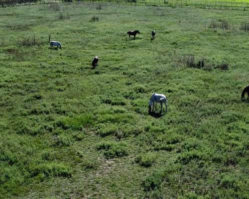 En Venta Campo Mixto de 121 Has en Ingenio Moneta San Pedro