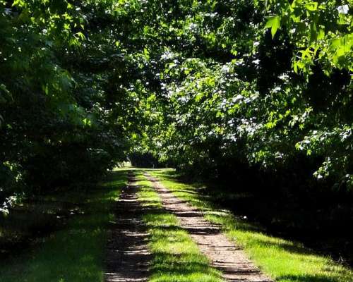 Luján, Buenos Aires - 45 Ha