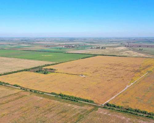 Pcia. de Santa FE - Colonia Raquel 103 Has