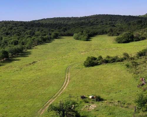 Córdoba Valle de Calamuchita San Ignacio 500 Has Ganaderas