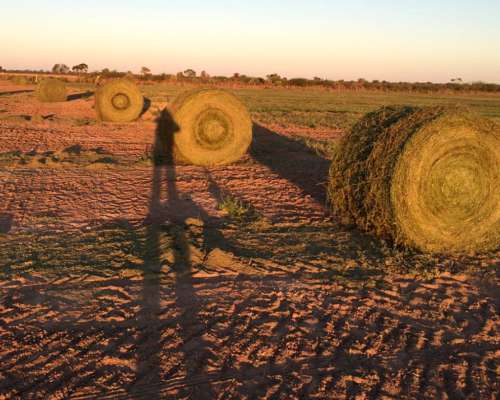 Campo 997 Has. Limpias - Inst. Feedlot - Alfalfa - Riego