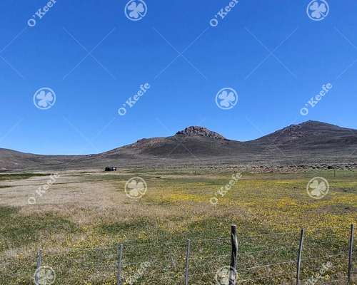 Campo en Venta de 4394 Has Comallo, Rio Negro