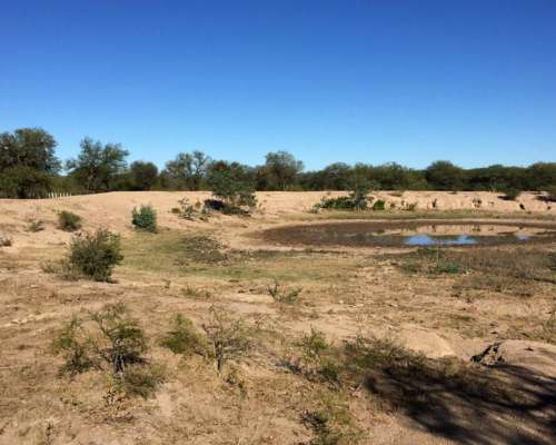 Campo Ganadero Apto Feedlot, 94 HA, Villa de Soto, Córdoba