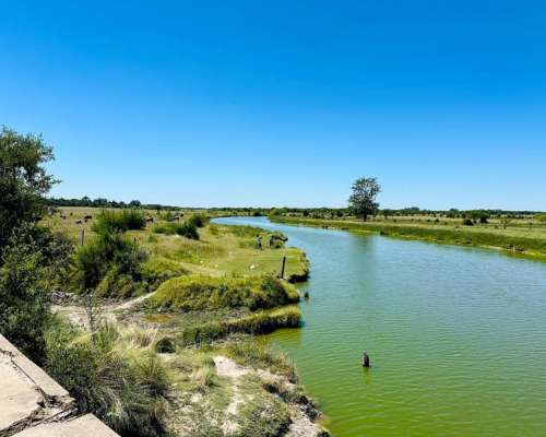 General Rodríguez, Buenos Aires - 79 Ha