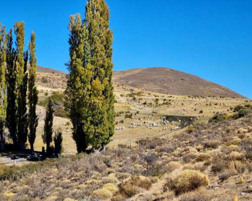 Campo Mixto en Esquel, Precordillera