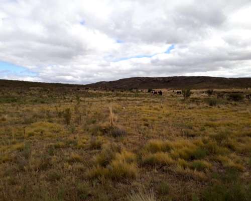 Vendo Campo Urgente muy Lindo