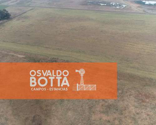 Campo Agrícola Ganadero en Venta, Bolivar, Buenos Aires