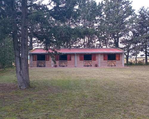 Dueño Vende Finca en Córdoba (ischilin) Argentina.