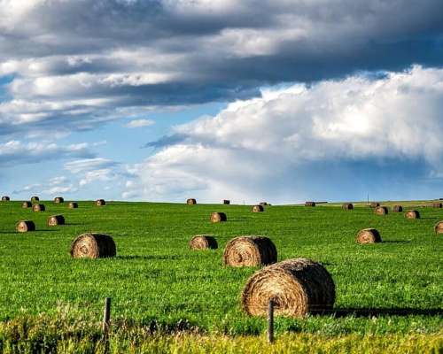 1500 Has Agricolas, Ganadera en Obispo Trejo Cordoba.