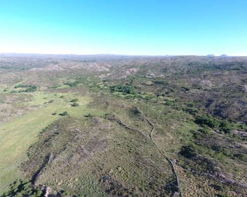 Coronel Pringles -456 HA- San Luis